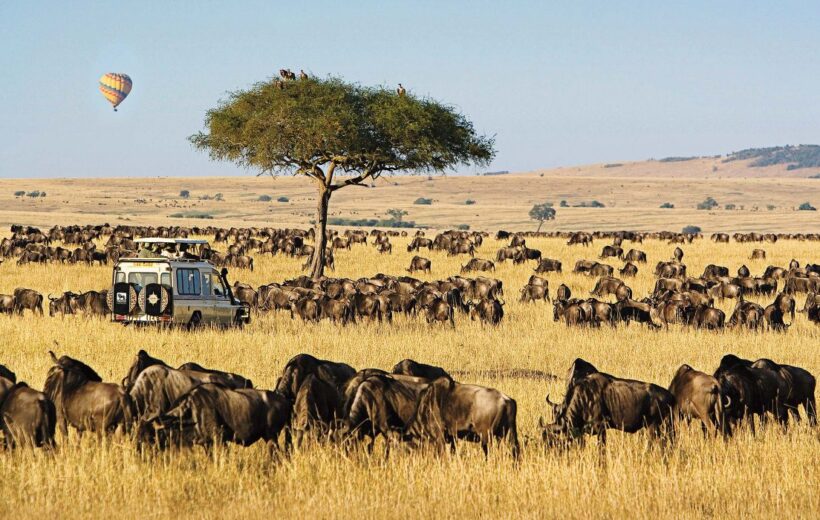 7 Days in the Mara - Classic (Self-Drive)