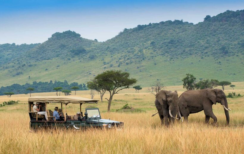 Essence of Amboseli National Park